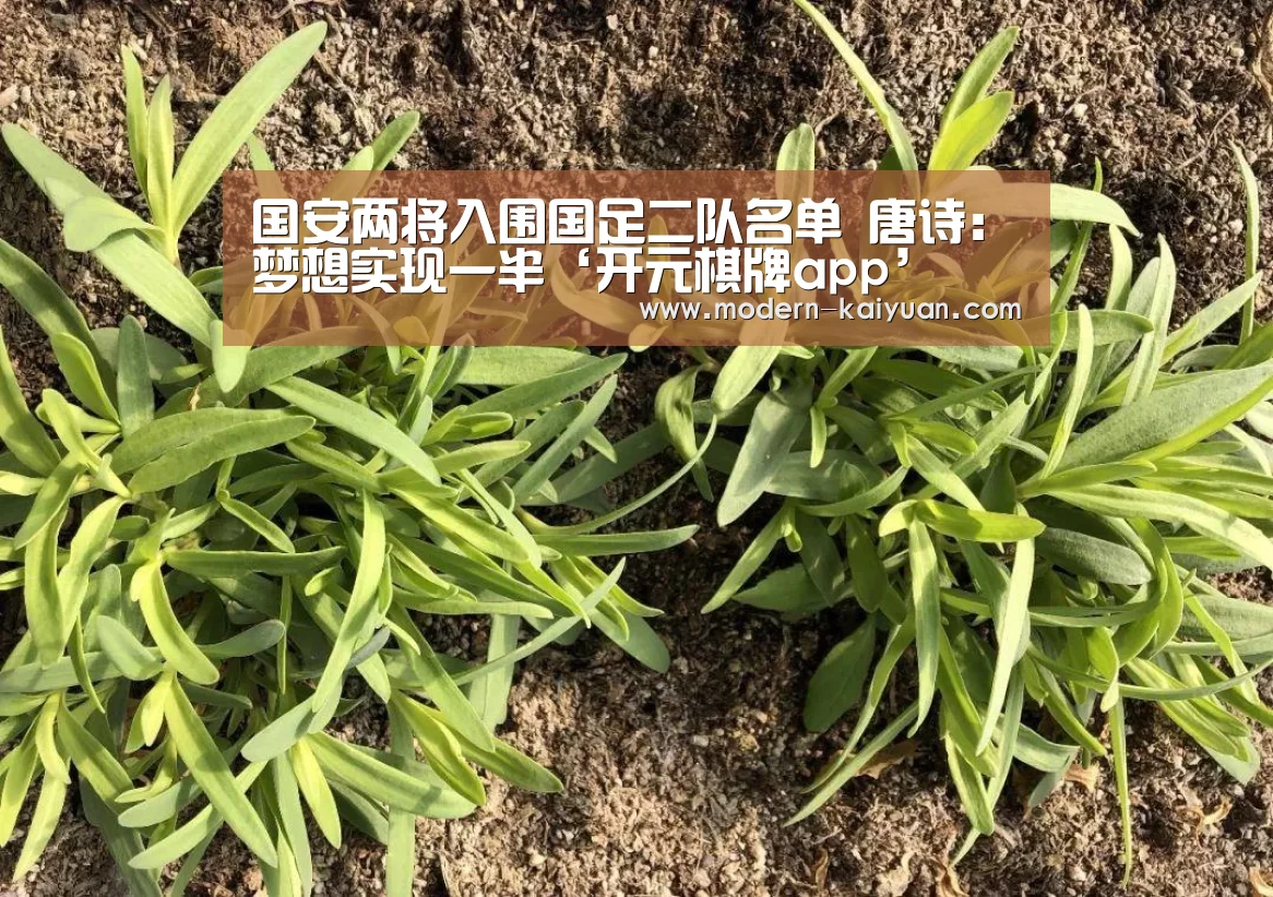 国安两将入围国足二队名单 唐诗:梦想实现一半‘开元棋牌app’(图1) 开云体育直播