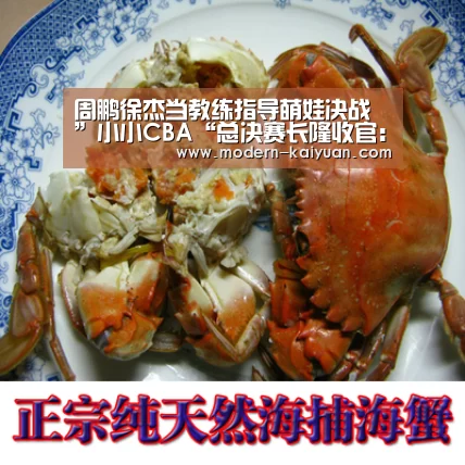 周鹏徐杰当教练指导萌娃决战 ”小小CBA“总决赛长隆收官:开元棋牌app(图3) 开元棋牌